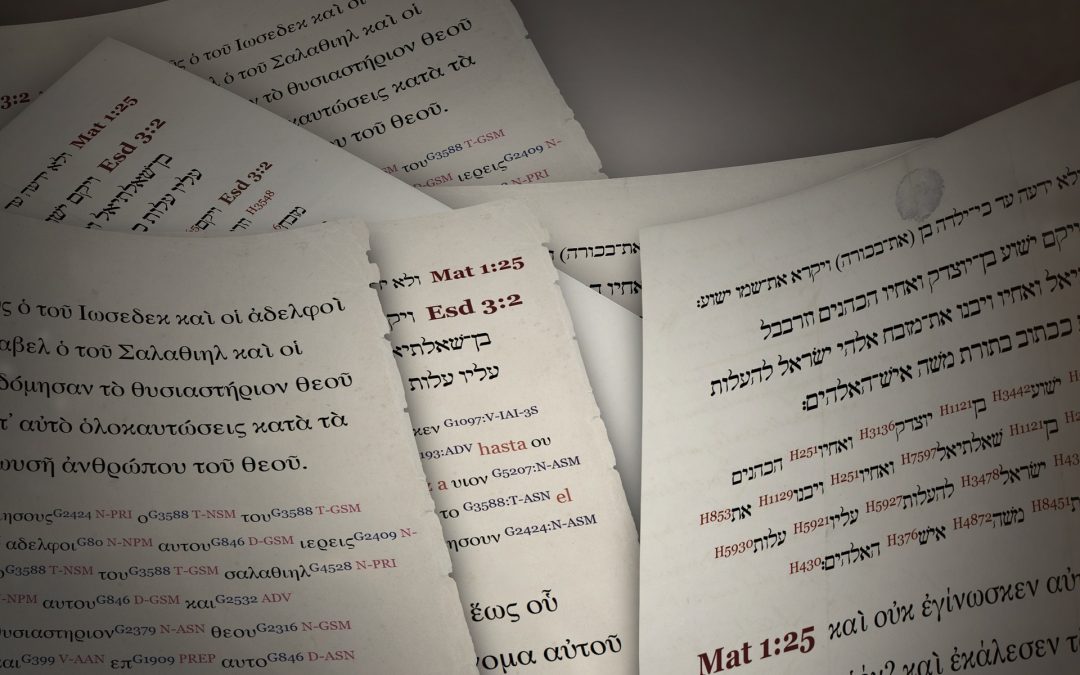Missionsprovinsens läronämnd